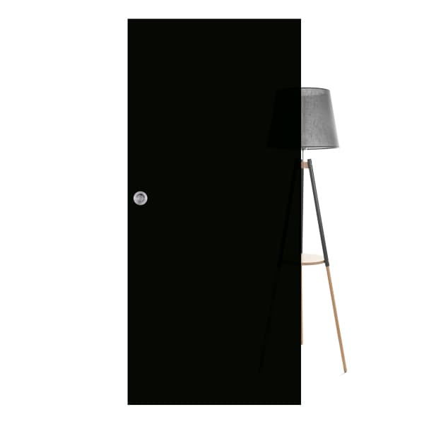 BLACK GLASS DOOR