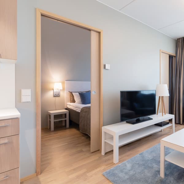 Mountain | D6 Oak veneer door
